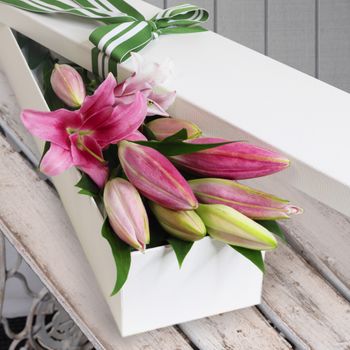 5 Elegant Pink Oriental Lilies Flowers