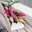 5 Elegant Pink Oriental Lilies Flowers