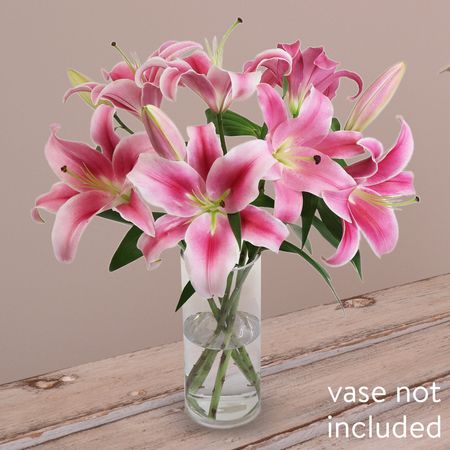 5 Elegant Pink Oriental Lilies