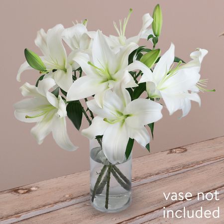 5 Elegant White Oriental Lilies