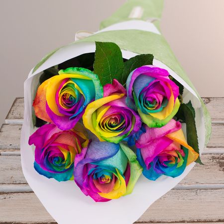 6 Rainbow Roses