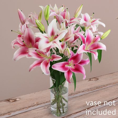 10 Elegant Pink Oriental Lilies