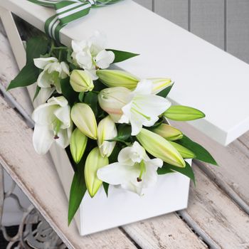10 Elegant White Oriental Lilies Flowers