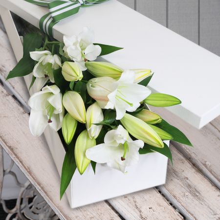 10 Elegant White Oriental Lilies