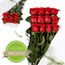 12 Red Roses - Free Half Dozen Flowers