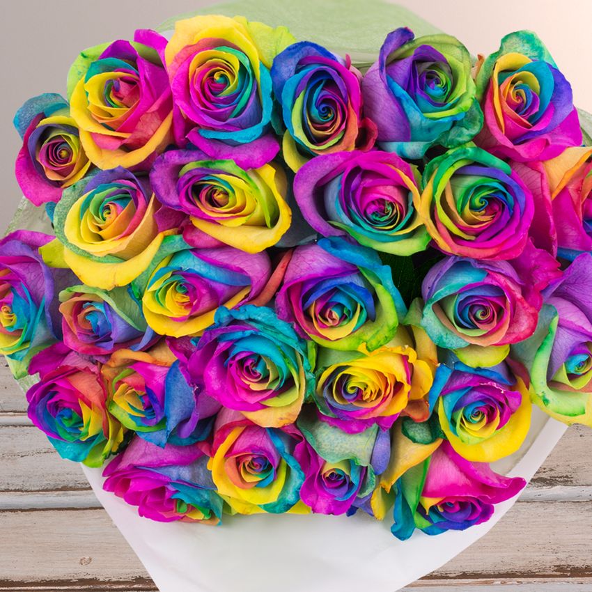 24 Rainbow Roses