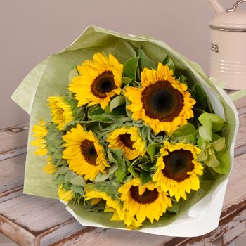 Bright Sunflowers Flowers
