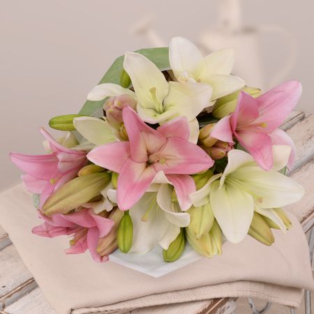 Lilies Mixed