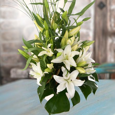Lush lilies White
